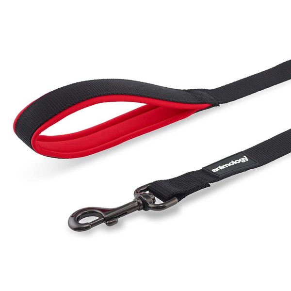 red lead