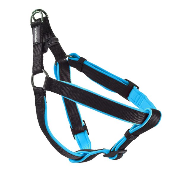 Blue Padded harness