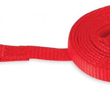 ASPEN PET NYLON DOG LEASH