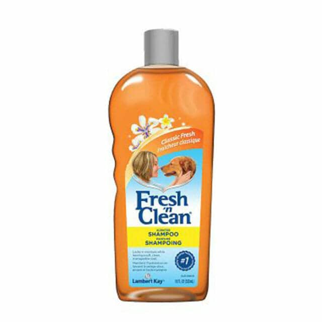 Fresh 'n Clean® Scented Shampoo, Classic Fresh Scent