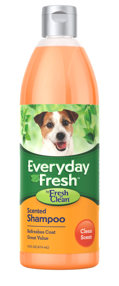 Fresh 'n Clean® Everyday Fresh™, Scented Shampoo
