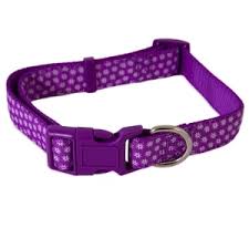 Petmate Adj Purple Star-Glow in the Dark Dog Collar