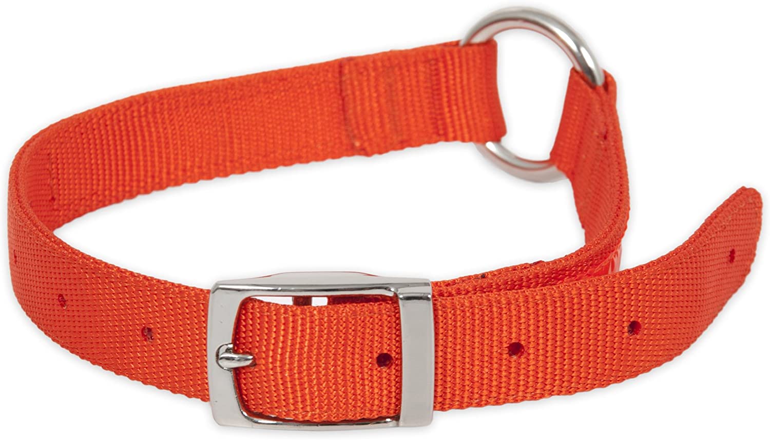 RUFF MAXX FLAT DOG COLLAR