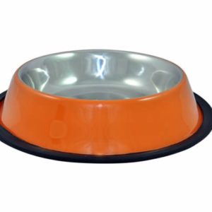 aGLOW Regular Non Skid Stainless Steel Bowl with Color