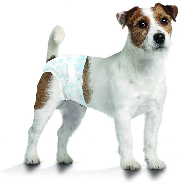 WeeWee Disposable Dog Diapers
