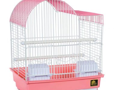 Assorted Parakeet Bird Cage
