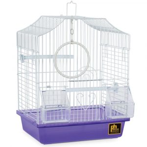 Prevue Hendryx Keet/Tiel Square Roof Bird Cage – Assorted Colors