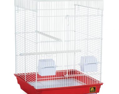 Assorted Cockatiel Bird Cages