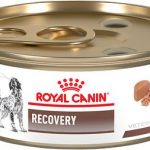 ROYAL CANIN® RECOVERY FELINE/CANINE CAN