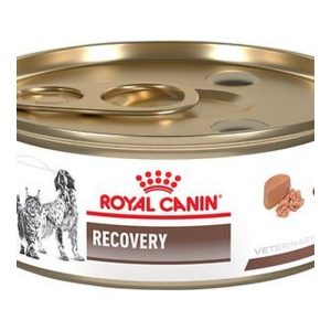 ROYAL CANIN® RECOVERY FELINE/CANINE CAN