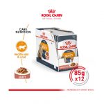 ROYAL CANIN® Feline Intense Beauty Gravy Pouch