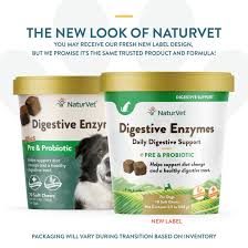 Digestive Enzymes Plus Probiotic Soft Chew