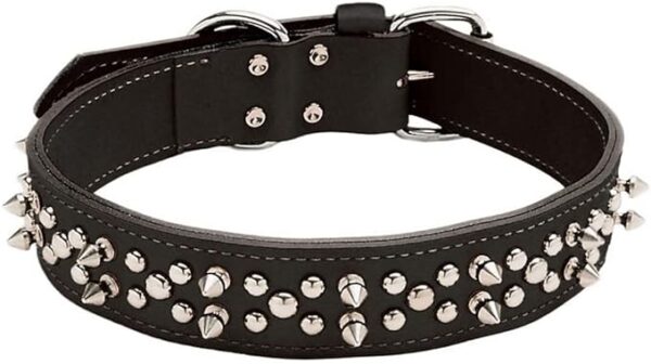Circle T® Oak Tanned Leather Double-Ply Spiked Dog Collar, Black, Medium - 1" x 18"