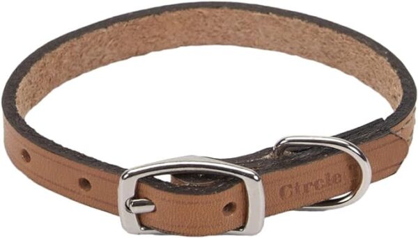 Circle T® Oak Tanned Leather Town Dog Collar, Black, Extra Small - 3/8" x 10"