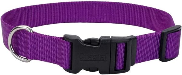 Coastal® Single-Ply Dog Collar, Purple, Small - 5/8" x 14"