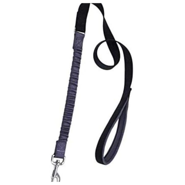 Bungee Dog Leash, Black and Grey, 1" x 04'