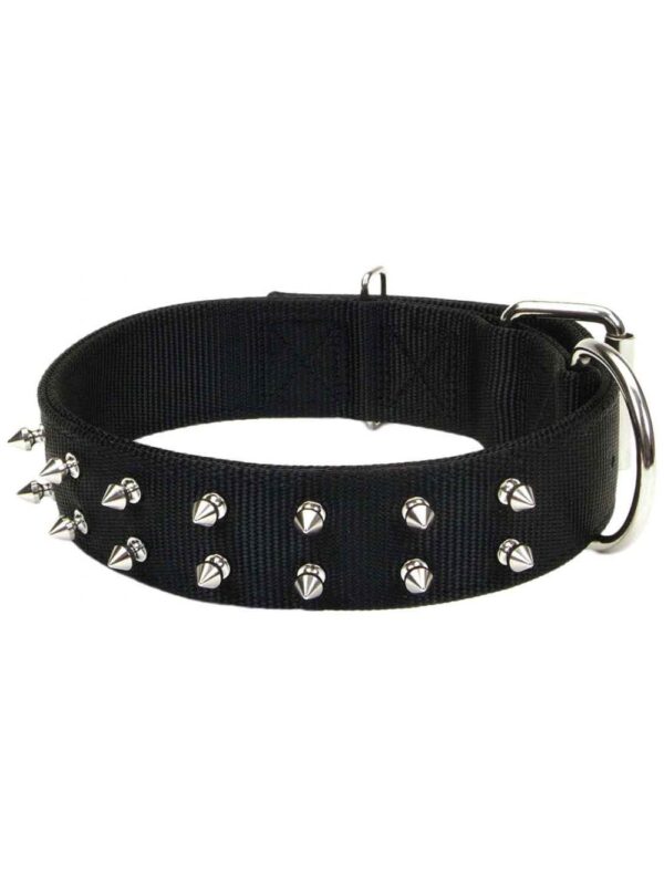 Macho Dog® Double-Ply Spiked Dog Collar with Roller Buckle