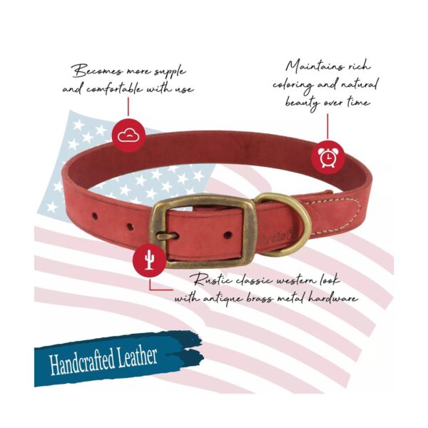 Circle T® Rustic Leather Town Dog Collar, Brick Red, Small - 5/8" x 16"