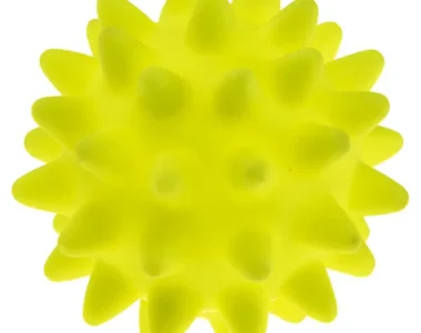 Ferplast PA 6015 SPINY BALL