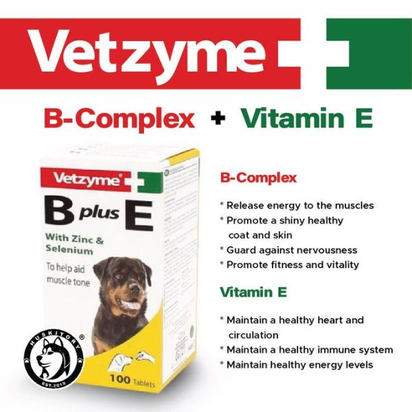 Vetzyme B Plus E Dog Supplement